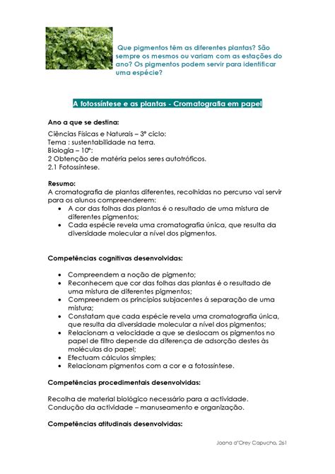 Que Gás é Produzido Pelas Plantas Durante A Fotossíntese