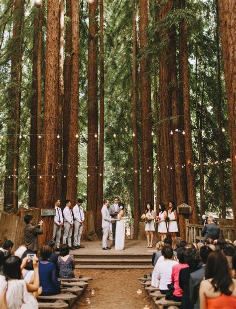 21++ Forest wedding venues california ideas