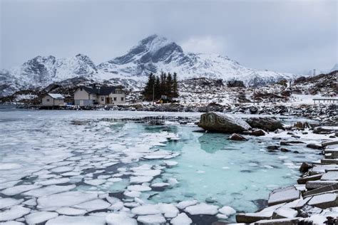 Lofoten Islands, Norway. Rocky Coast of Fjord in Winter with Snow and ...