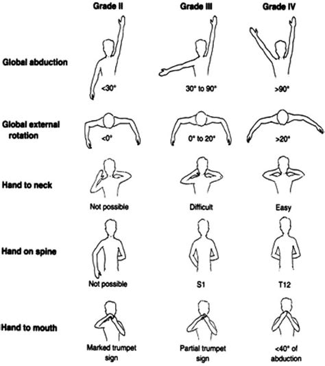 active range of motion exercises upper extremity | Shoulder range of motion, Shoulder workout ...