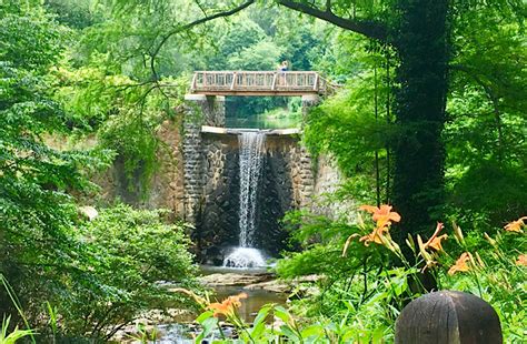 The Ultimate North Carolina Road Trip Itinerary for Families: Top 10 NC ...