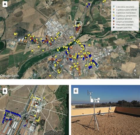 A Geolocation Of Cupressaceae Trees B Pollen Trap Location And Download Scientific Diagram