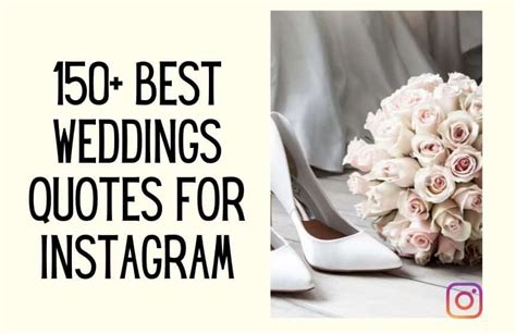 150 Funny And Cute Wedding Quotes For Instagram Kids N Clicks