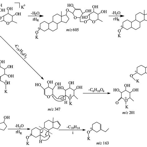 Proposed Fragmentation Pathways For Compound 22 Download Scientific