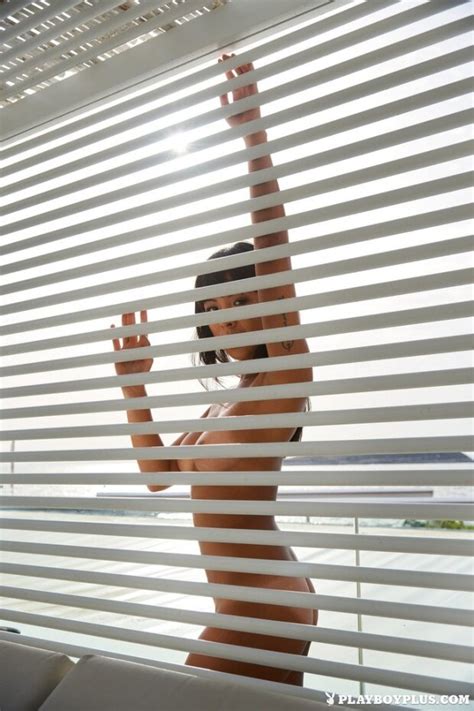 Whisker Biscuit Dames Love Venetian Blinds Pin 56381852