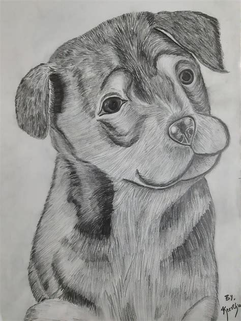 Cute Puppy Sketch