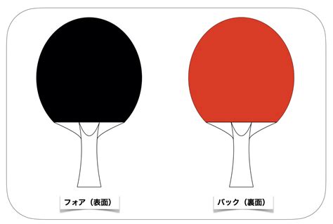 卓球ラケット全種類の特徴・シェークとペンの違いや形を説明 Meコーチの卓球塾