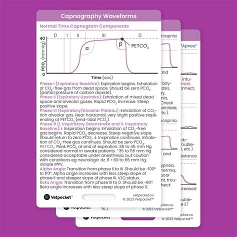 Capnography Waveforms – Vetpocket