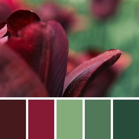 20+ Best Maroon Color Palettes (Colors That Go With Maroon ...