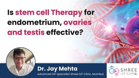 Is Stem Cell Therapy For Endometrium Ovaries And Testis Effective