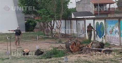 Niño Que Murió Aplastado Por Un árbol Era El Mayor De Cuatro Hermanos Y