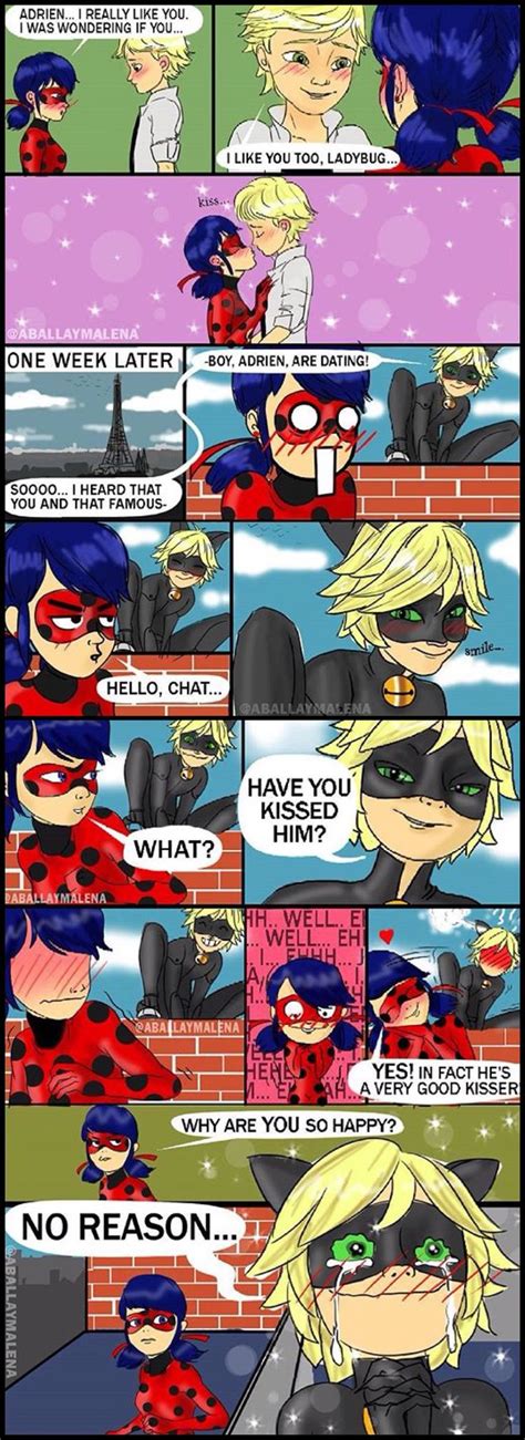 What Happens In Ephemeral Miraculous Ladybug Booytop