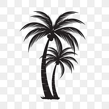 Ilustración De Vector De Palmera PNG Palma árbol Silueta PNG y