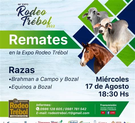 Rcctv Trasmitir En Vivo Los Remates De Las Razas Brahman Y Equinos En