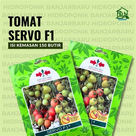 Jual Benih Tomat Servo F Panah Merah Shopee Indonesia