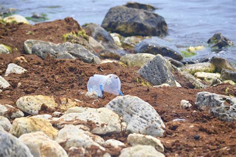 Polluted Coastline With Plastic Polyethylene Plastic Bottles And