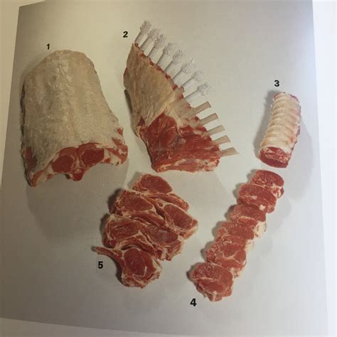 agneau carré Diagram Quizlet