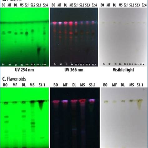 High Performance Thin Layer Chromatography Chromatogram Using Finger