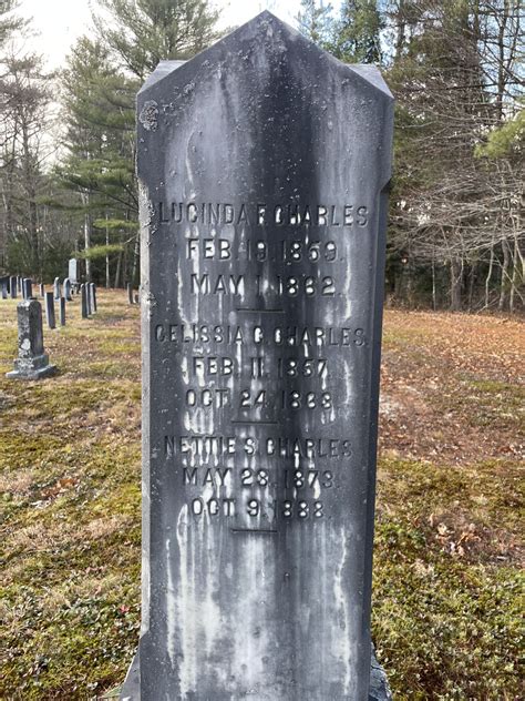 Staff members clarify what the st charles cemetery rules require 3