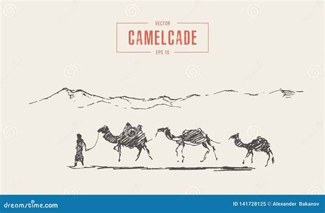 Sketch Of The Caravan With Camels In Scorching Desert Stock Image