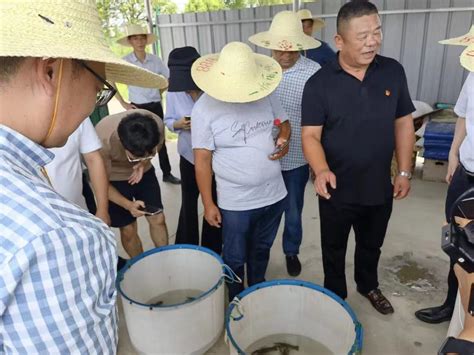 海宁市稻虾产业农合联在斜桥成立 铺就美镇“生态美”