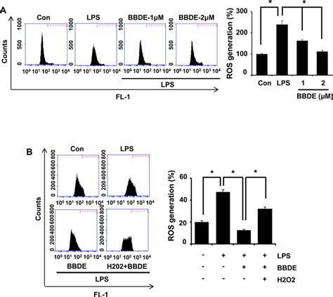 The Effect Of Bbde On Lps Induced Ros Generation In Raw