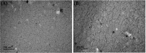 Cryo-TEM images for 30 mM UC 22 AMPM/15 mM PPA at pH 2.01 (A) and 6.19 ...