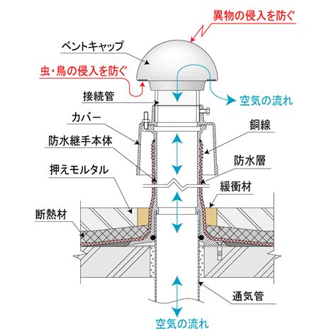 cpj  chubu