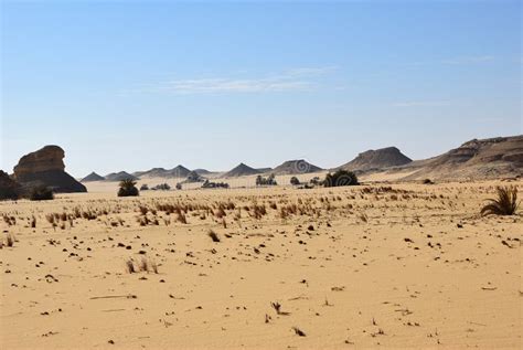 Landscape of the Western Desert Sahara, Egypt Stock Image - Image of natural, sandy: 128438809