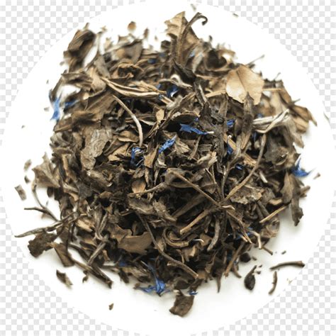 Green tea Le Palais des Thés Masala chai Earl Grey tea teahouse coupon