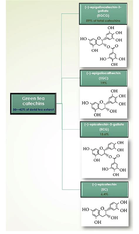 Molecular Structure Green Tea Catechins Download Scientific Diagram