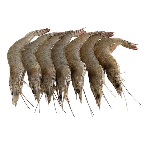 Cream Dory Fillet (Premium) 1kg | Fish Fillet Delivery in Metro Manila