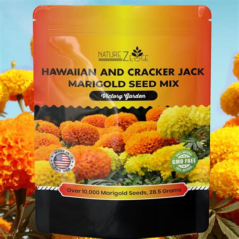 Naturez Edge Marigold Seeds Marigold Seeds For Planting Outdoors Over 10000