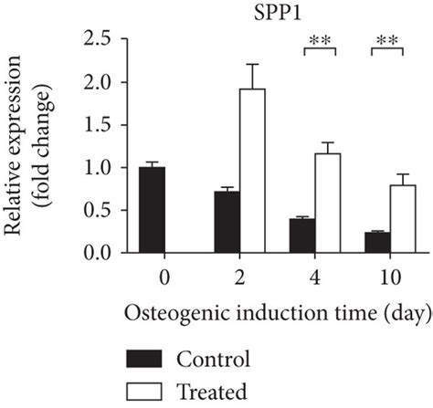 Induction Of Osteogenic Gene Expression Under Standard Static Cell