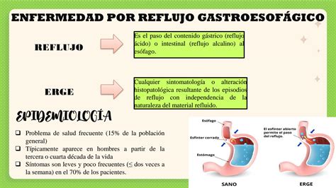 Solution Enfermedad Por Reflujo Gastroesof Gico Studypool