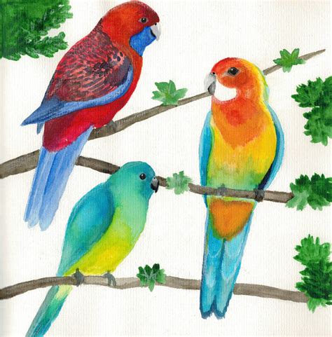 Tropical birds by wolfchiik on DeviantArt