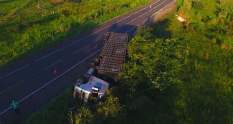 Carreta Que Transportava Gado Tomba Na Br Pol Cia Di Rio Digital