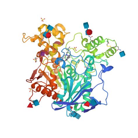 Rcsb Pdb 7bo4 Human Butyrylcholinesterase In Complex With 3 2 Butyl2 Cycloheptylethyl