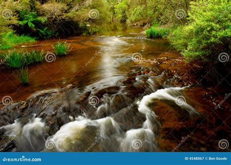 Flowing Creek Stock Image Image Of Hiking Landscape