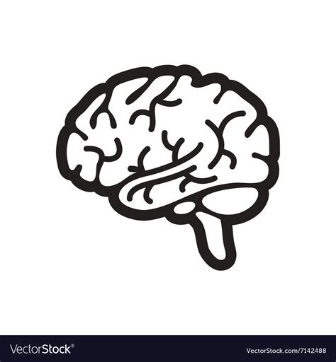 Stylish black and white icon human brain Vector Image