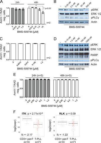 Interleukin 2 Inducible T Cell Kinase ITK Targeting By BMS 509744