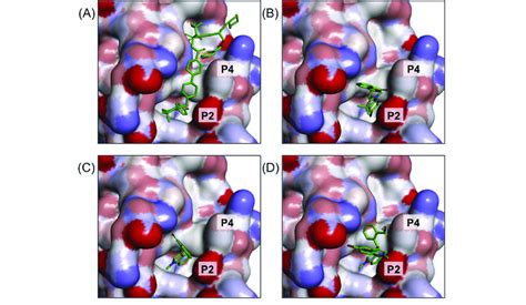 3D Molecular Surface Map Of Bcl 2 Showing The Docked Poses Of A