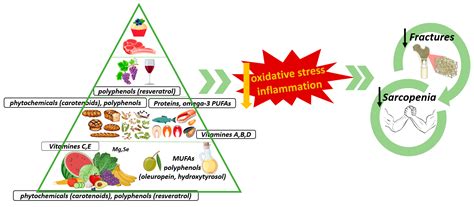 Nutrients Free Full Text The Influence Of The Mediterranean Dietary