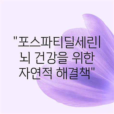 포스파티딜세린 뇌 건강을 위한 자연적 해결책