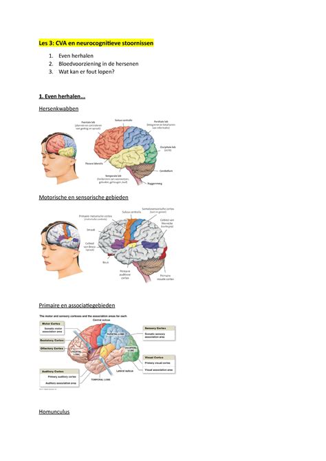 Psychodiagnostiek Bij Senioren Les 3 CVA Les 3 CVA En