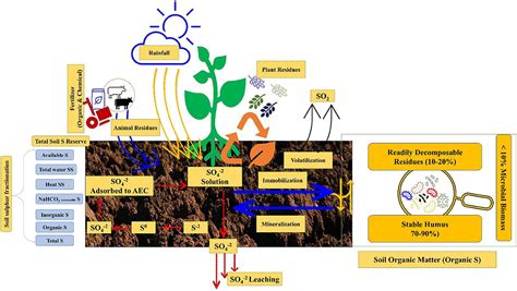 Frontiers Long Term Nutrient Management In An Intensive Rice Wheat Cropping System Improves