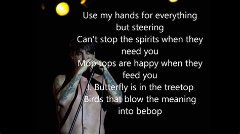Red Hot Chili Peppers Can T Stop Lyrics YouTube