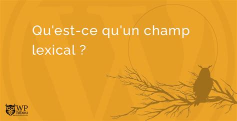 Qu est ce qu un champ lexical la différence avec la sémantique