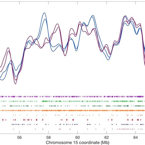 DNA Replication Timing DNA Initiates At Replication Origins Each Of