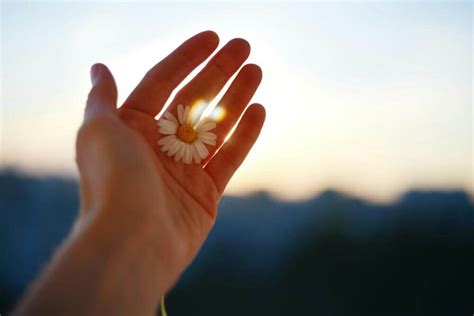 La gratitude votre clé pour une vie épanouie Instants Présents